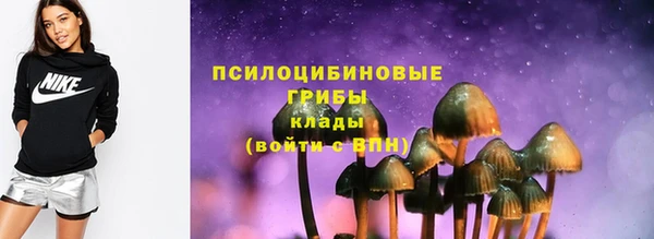 спиды Алзамай